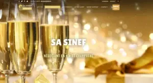 sa sinef Alerte plateforme fraude escroquerie